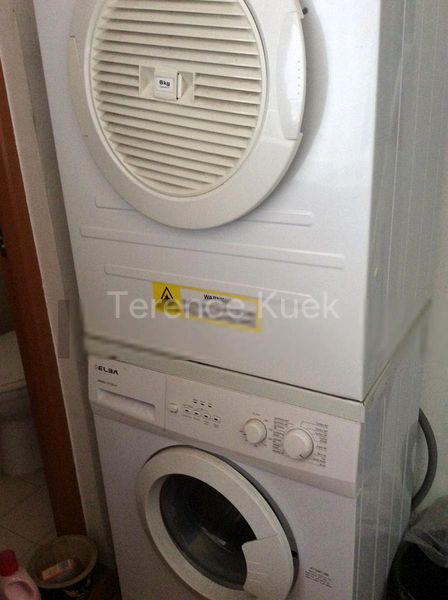 3 Bed Executive Condo for Rent in  The Floravale - Image 15